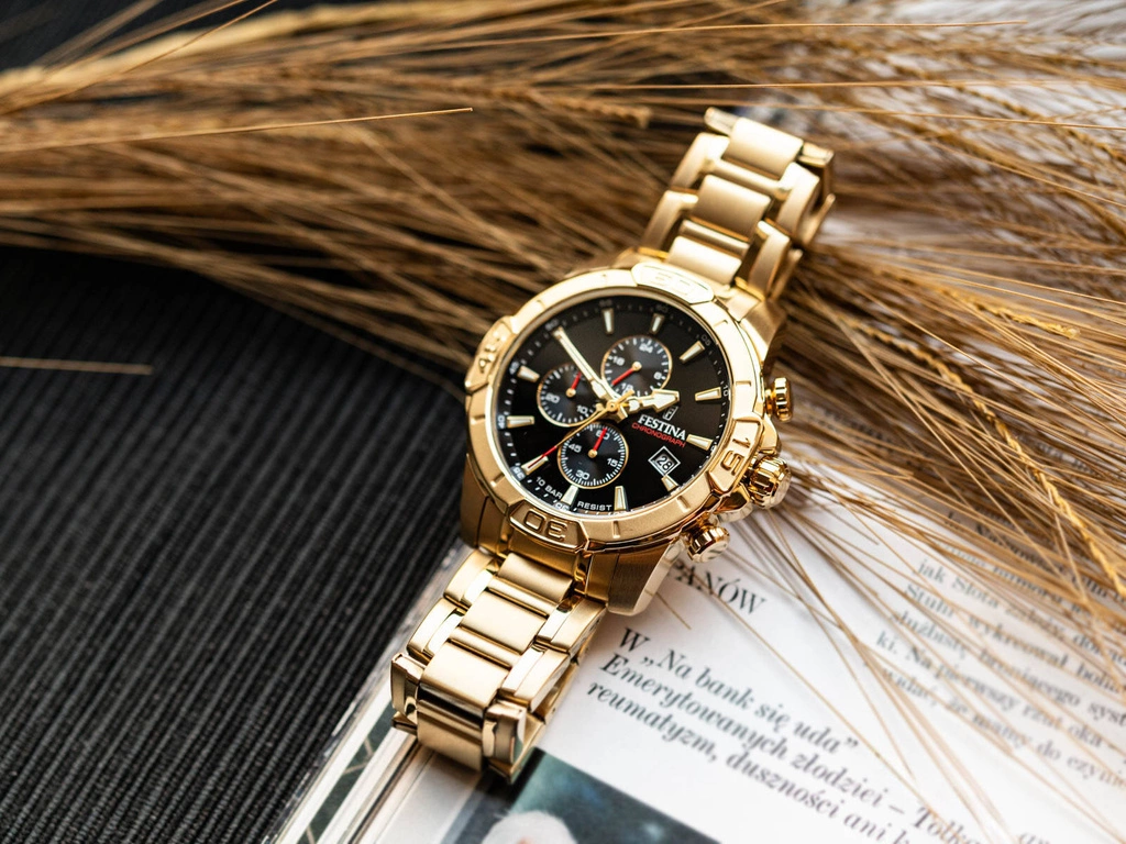 Zegarek męski FESTINA F20705/4 Timeless Chronograph