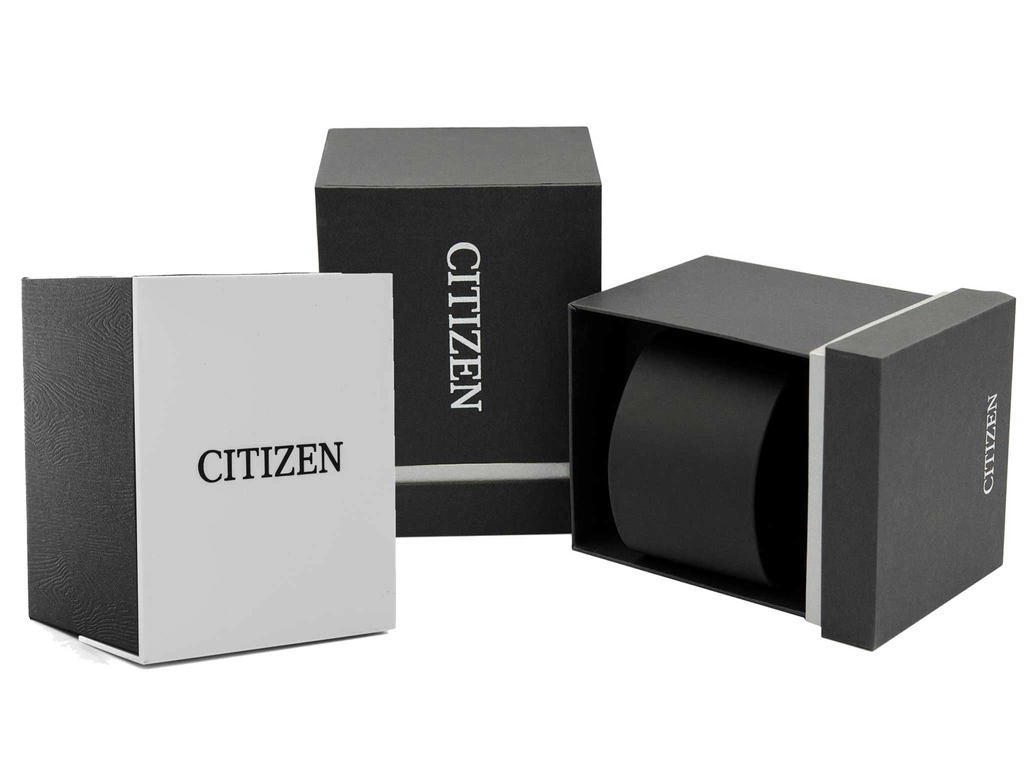 Zegarek damski Citizen EM1063-89D Eco-Drive Citizen L Maybells