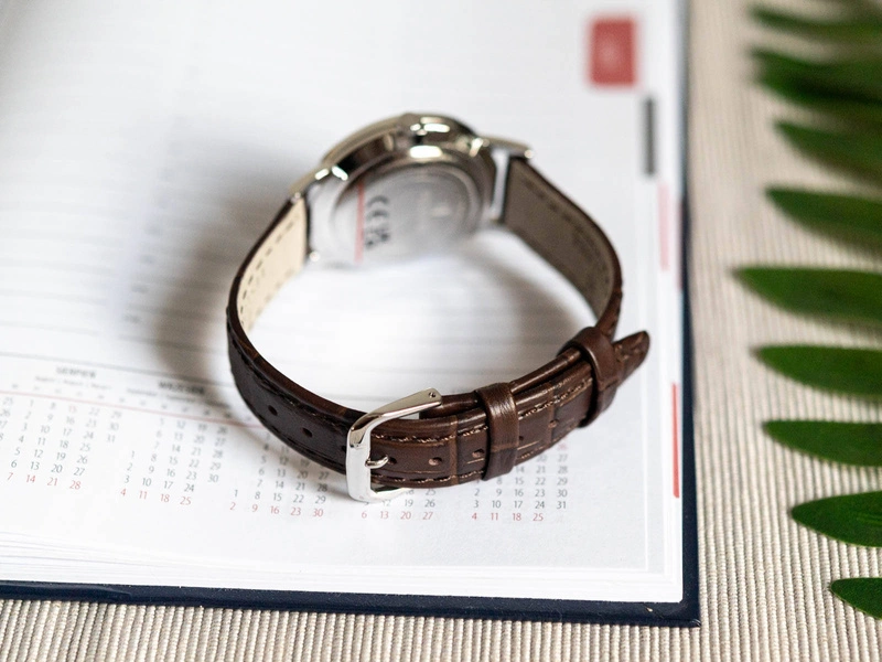 Zegarek męski FESTINA F20690/2 Classic Strap 