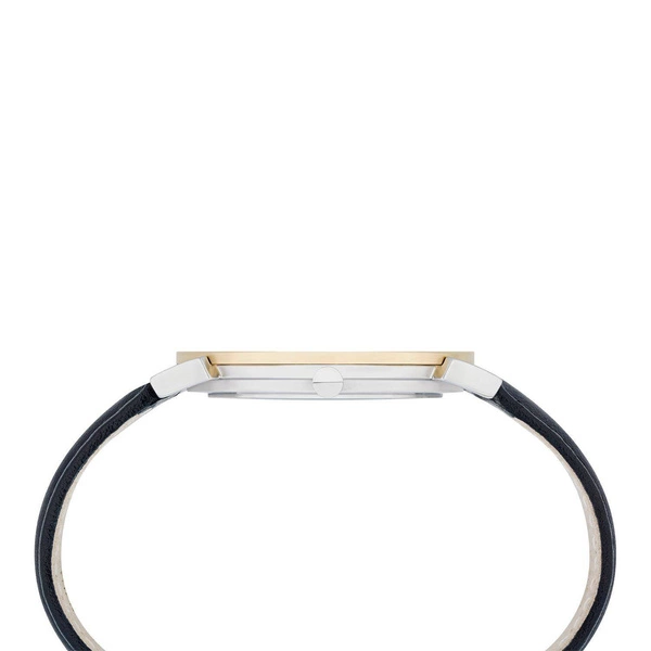 Zegarek Męski PIERRE CARDIN CPI.2015