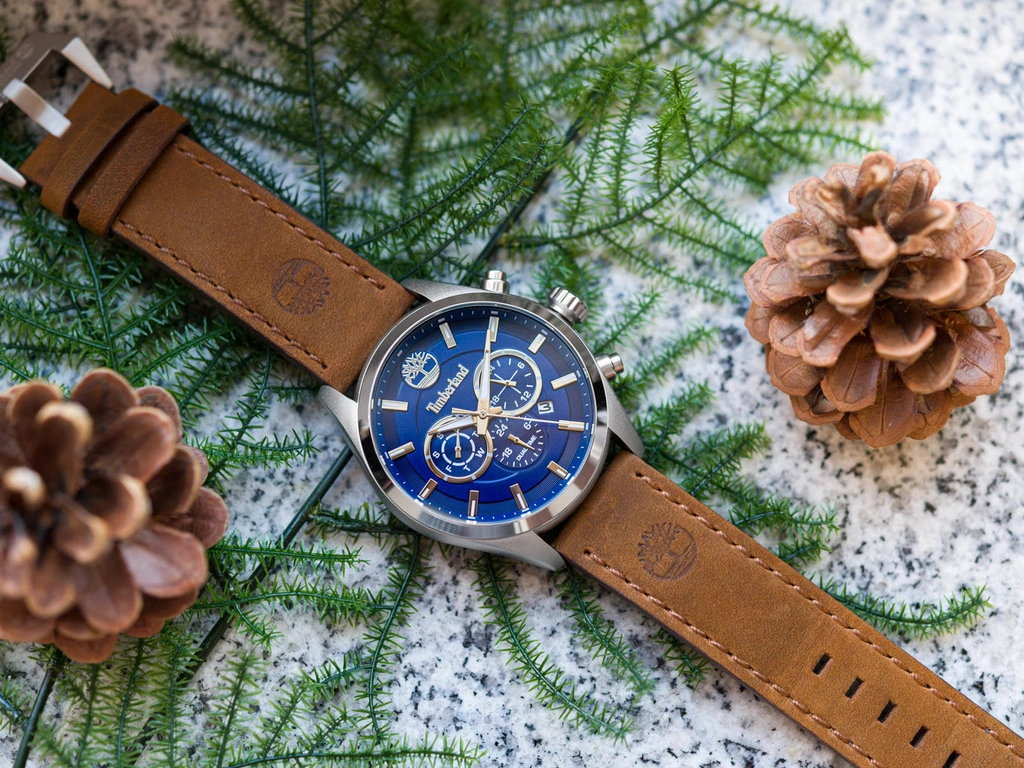 Zegarek męski TIMBERLAND Ashmont TBL.16062JYS/03