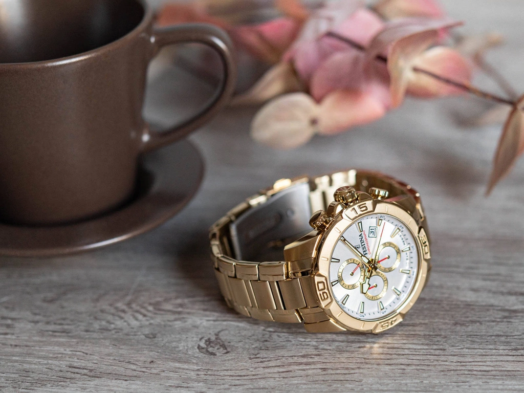 Zegarek męski FESTINA F20705/1 Timeless Chronograph