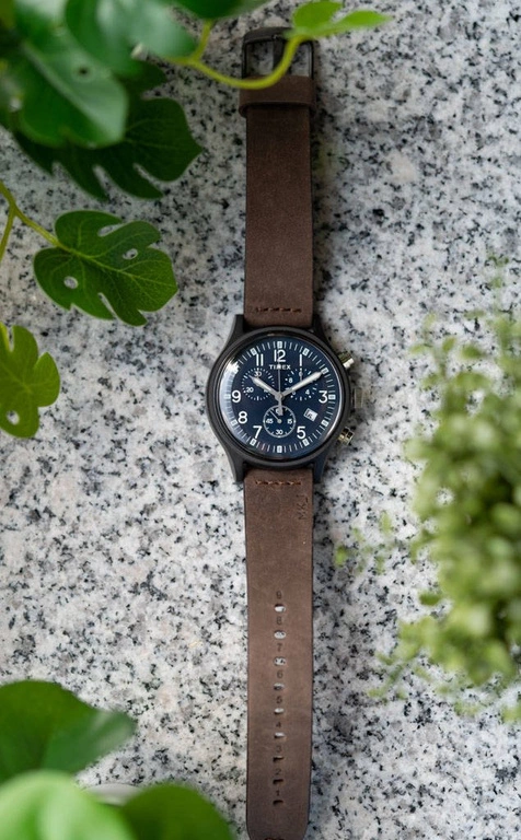 Zegarek męski TIMEX TW2T68000