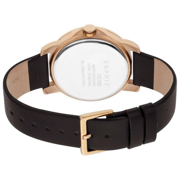 Zegarek męski ESPRIT ES1G160L0025 Layer