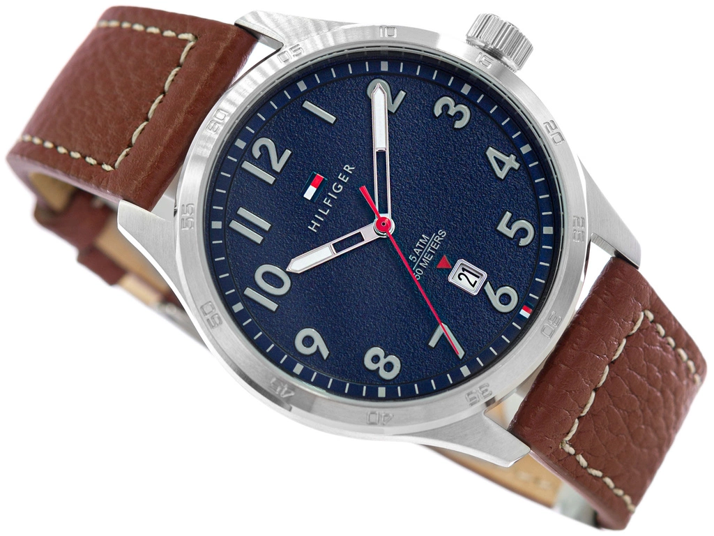 Zegarek męski TOMMY HILFIGER 1710559 Forrest