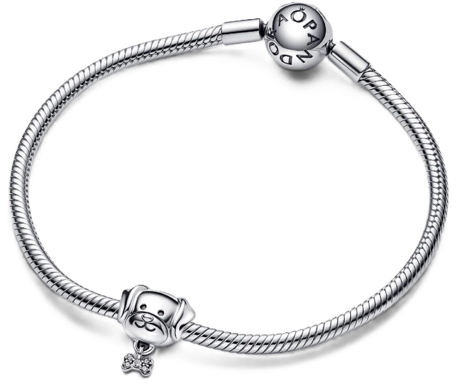 Charms Pandora 792254C01 Pies i kość