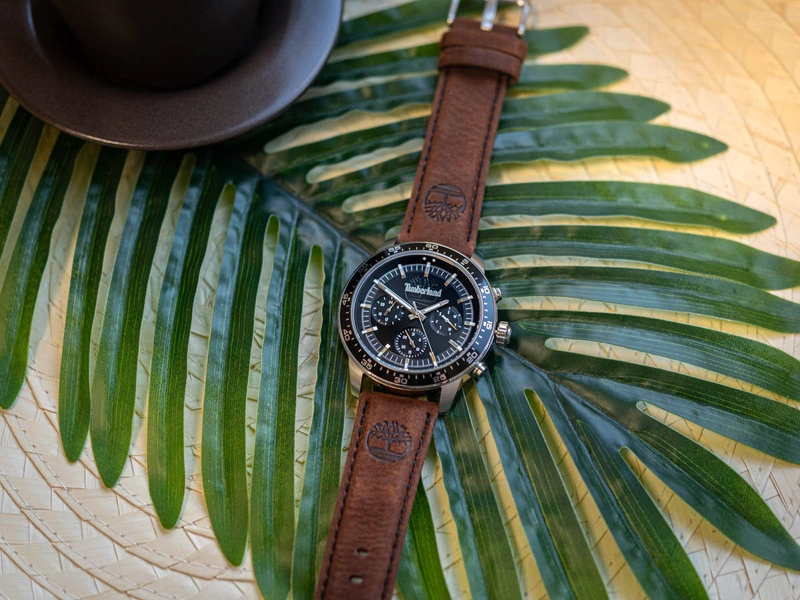 Zegarek męski TIMBERLAND TDWGF0029002 Parkman