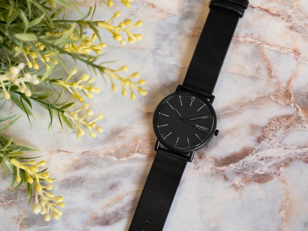 Zegarek męski SKAGEN SKW6902 Signatur