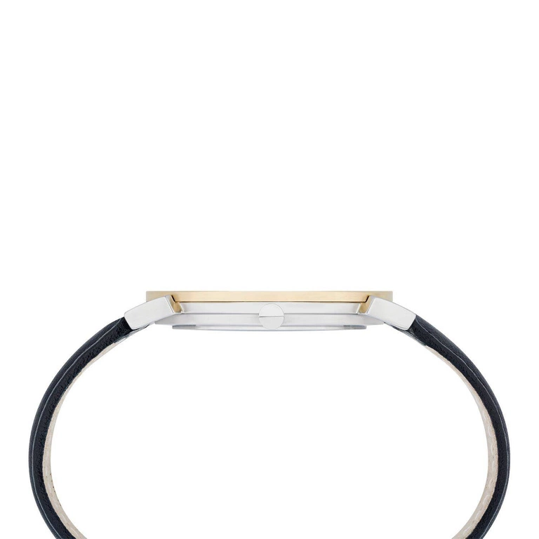 Zegarek Męski PIERRE CARDIN CPI.2015