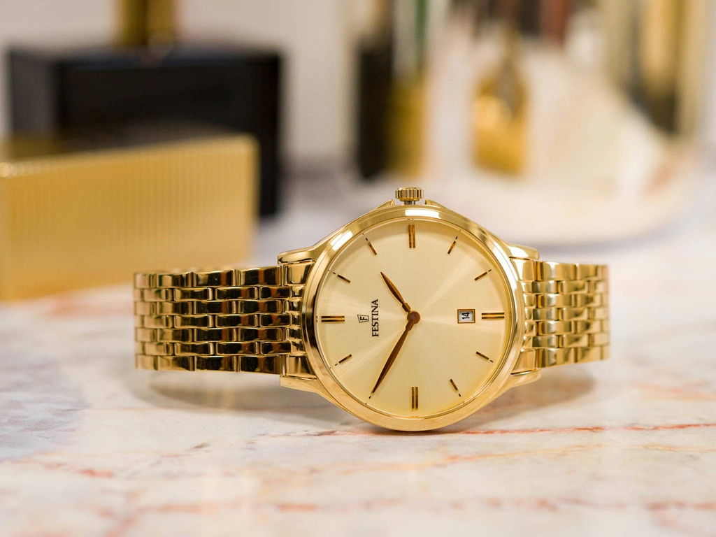 Zegarek męski FESTINA CLASSIC F16746/2