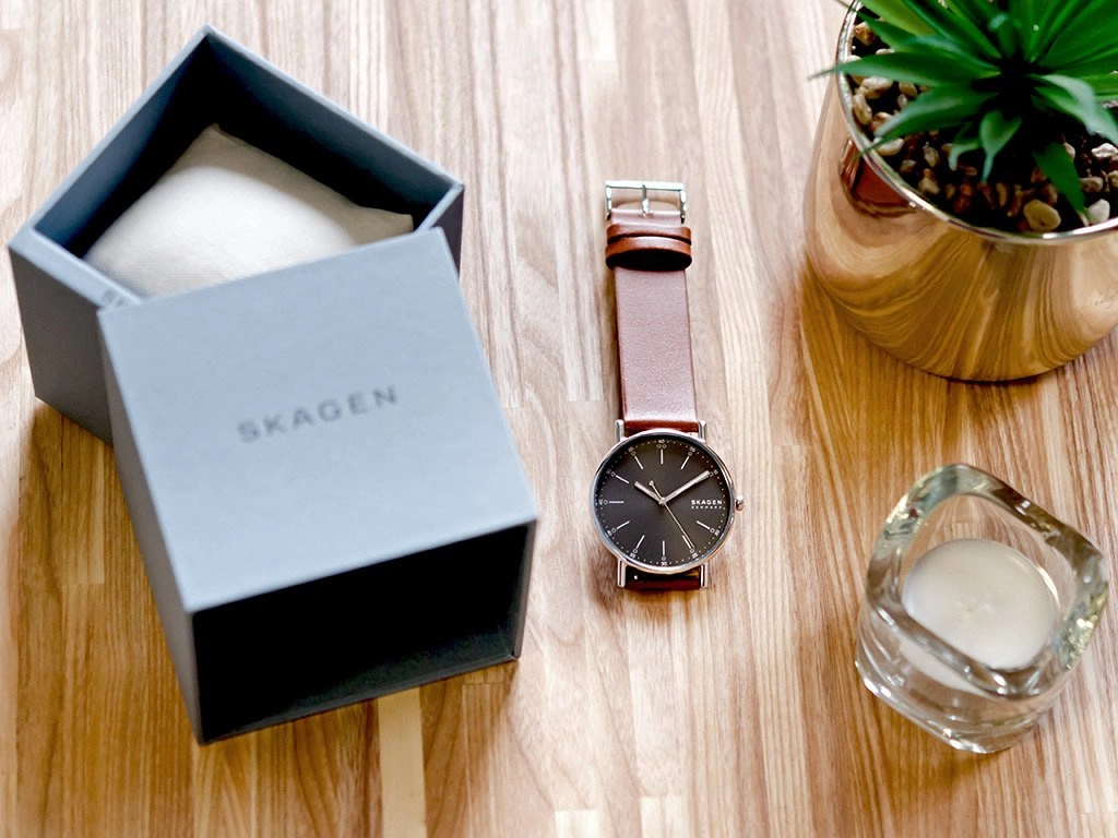 Zegarek męski SKAGEN Signatur SKW6578