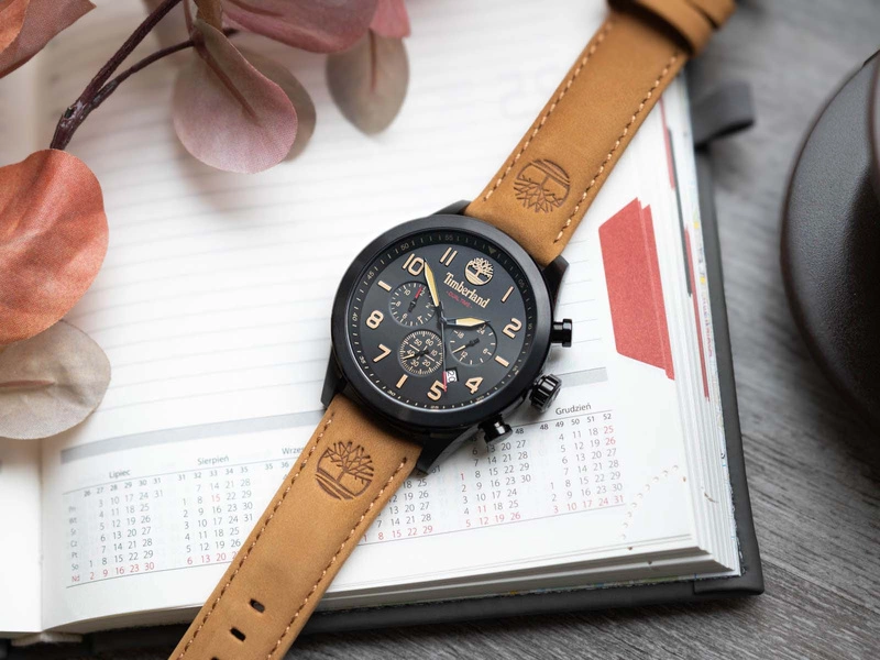 Zegarek męski TIMBERLAND TDWGF0009701 Ashmont