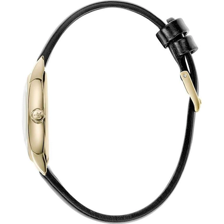 Zegarek męski CALVIN KLEIN K9H2X5C6 Established