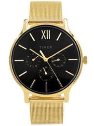 Zegarek damski TIMEX TW2W20000 Transcend