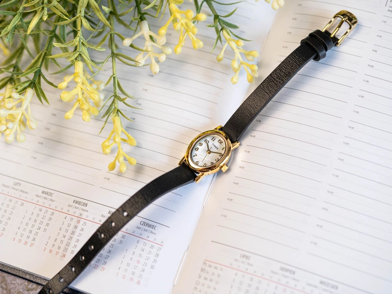Zegarek damski TIMEX TW2W82600 City