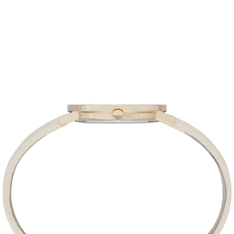 Zegarek Damski PIERRE CARDIN CBV.1500