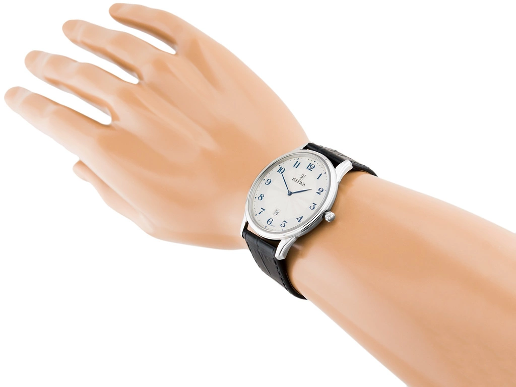 Zegarek męski FESTINA Classic Strap F6851/2