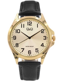 Zegarek męski Q&Q C36A-011PY