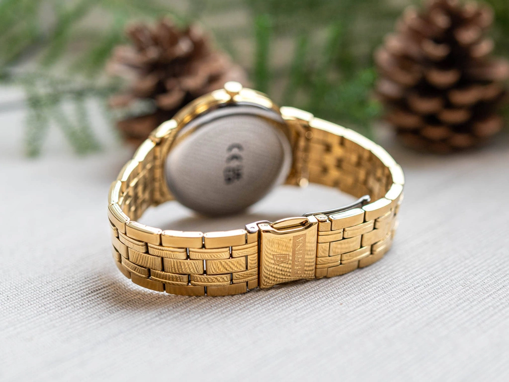 Zegarek męski FESTINA F20513/1 Classic