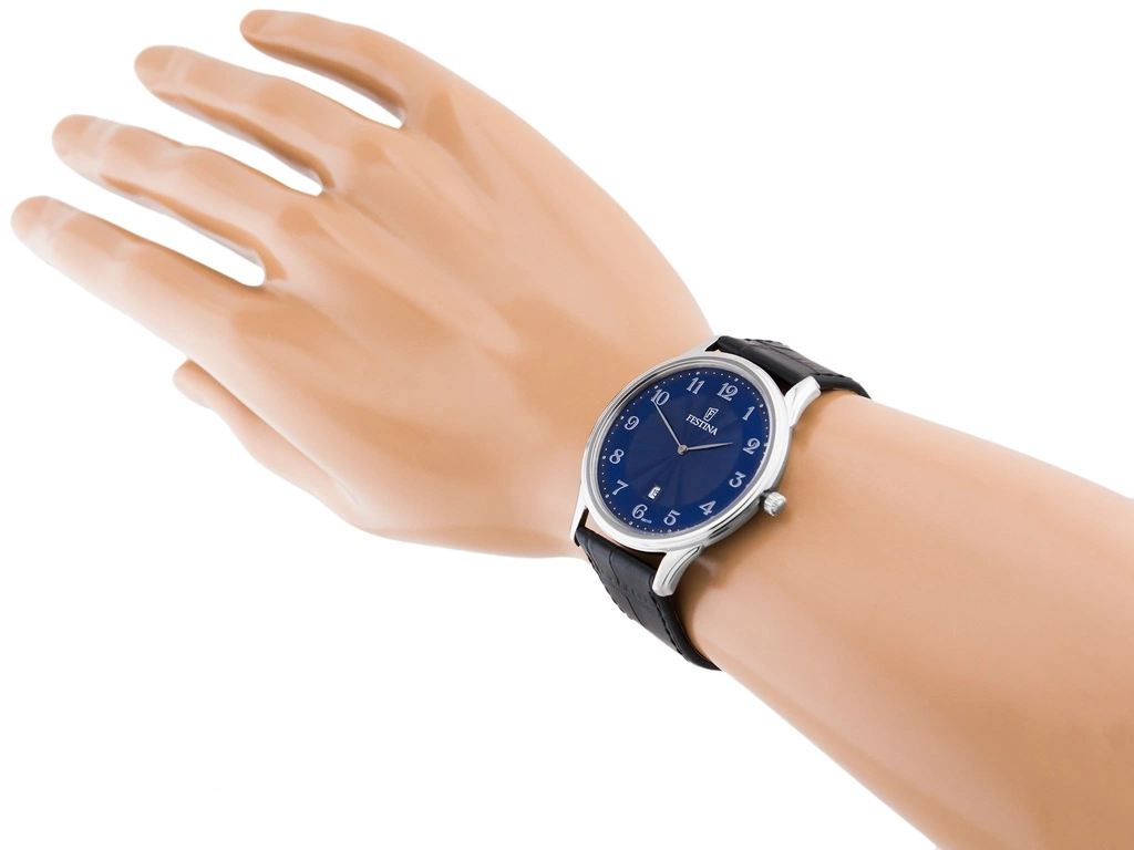 Zegarek męski FESTINA Classic Strap F6851/3