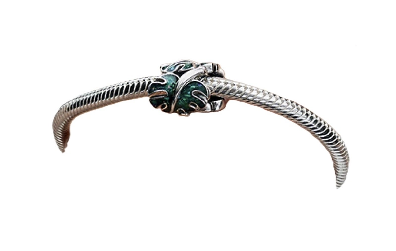 Charms Pandora Zielone liście monstery 793332C01