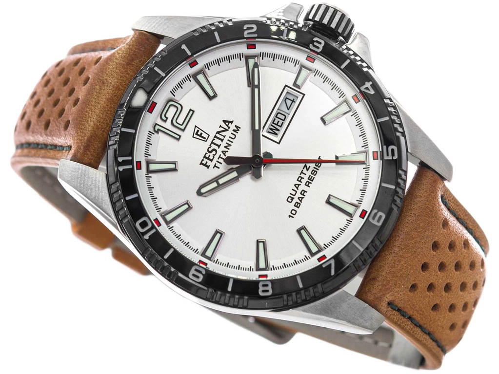 Zegarek męski FESTINA F20699/1 Titanium Date