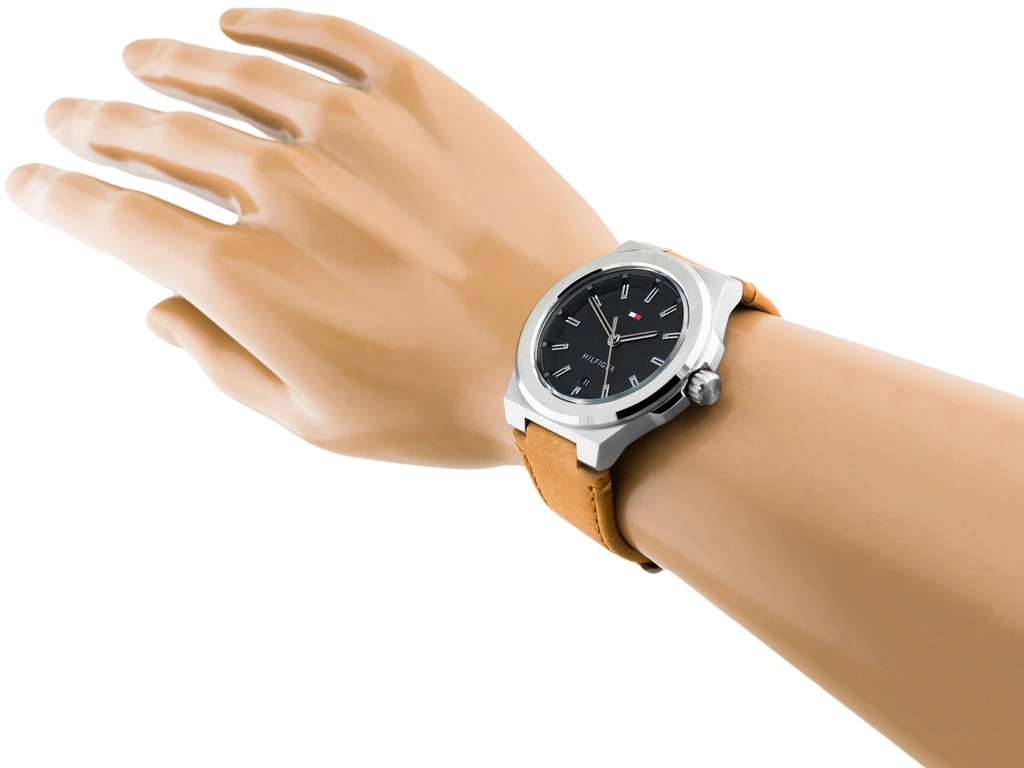 Zegarek męski TOMMY HILFIGER PRINCETON 1791650