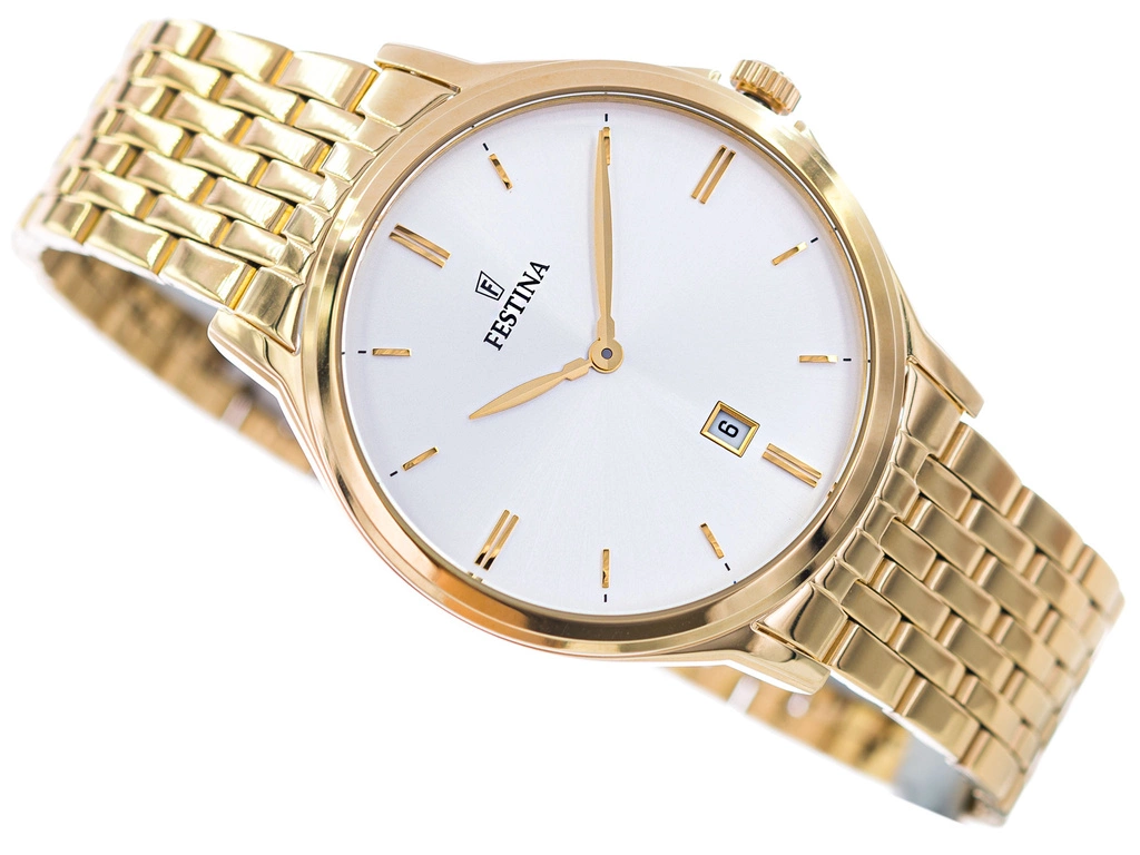 Zegarek męski FESTINA CLASSIC F16746/1