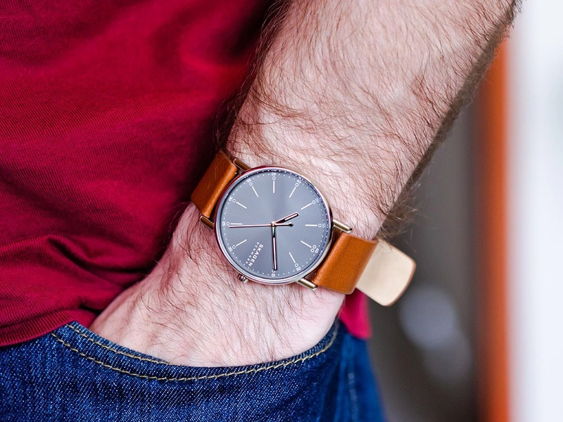 Zegarek męski SKAGEN Signatur SKW6578