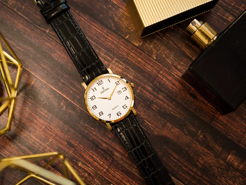 Zegarek męski FESTINA CLASSIC F16478/1