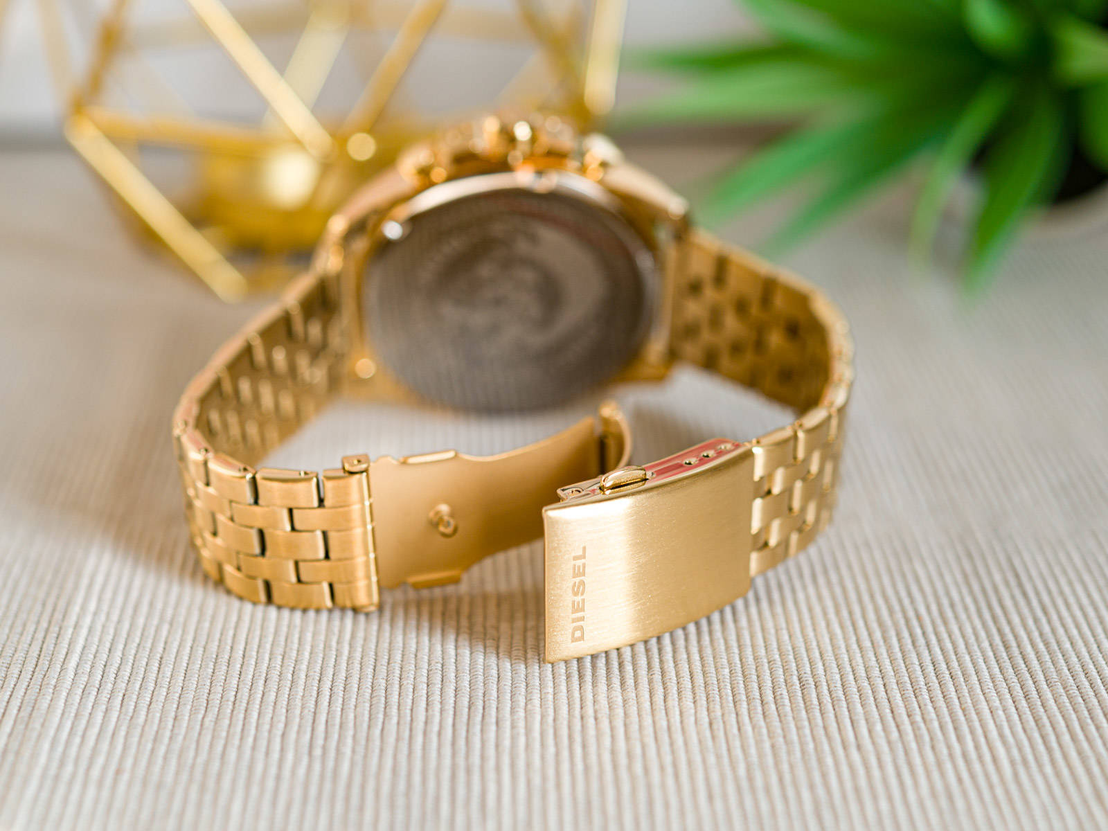 BABY CHIEFDZ4565 ディーゼルゴールド